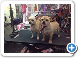 Bobo & Danny Ray