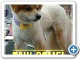 petpics_1559605386497