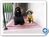 sam_0243
