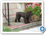sam_0339