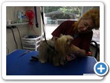 sam_0510