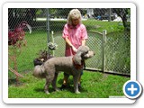 sam_0518